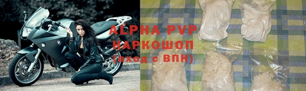 прущие грибы Заводоуковск
