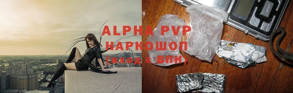 прущие грибы Заводоуковск