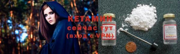 прущие грибы Заводоуковск
