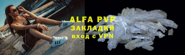 прущие грибы Заводоуковск