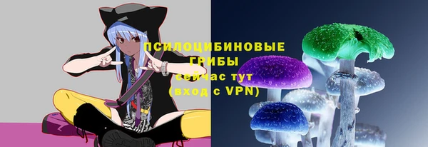 тгк Заволжск