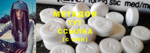 прущие грибы Заводоуковск