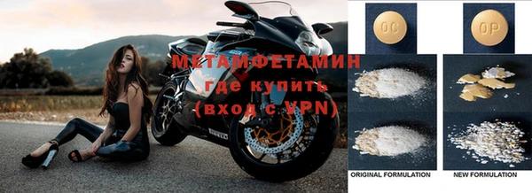 прущие грибы Заводоуковск