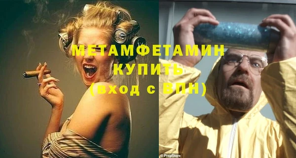 прущие грибы Заводоуковск