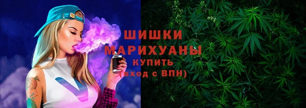 прущие грибы Заводоуковск