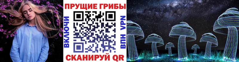 хочу наркоту  Славгород  Псилоцибиновые грибы прущие грибы 